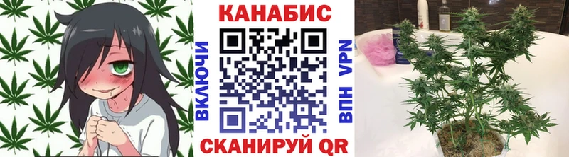Какие есть наркотики Кинель Альфа ПВП Бутират Гашиш Каннабис Кокаин