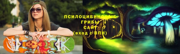 индика Магадан
