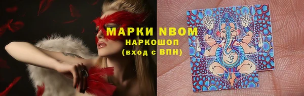 дурь Майский