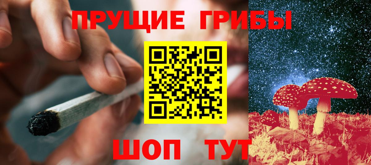 Псилоцибиновые грибы мухоморы Кинель